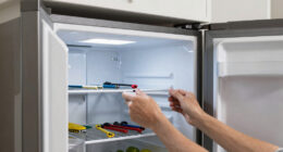 8 Best Garage-Ready Refrigerators in 2026