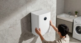 9 Best Whole-Home Dehumidifiers in 2026 — The Complete Buyer’s Guide