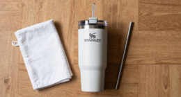 20-Oz STANLEY Quencher ProTour Flip Straw Tumbler w/ Leakproof Lid $15