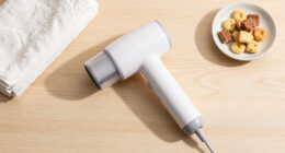 8 Best Pet Hair Removers for Furniture, Clothes, and Car Seats in 2026