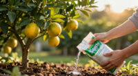 10 Best Citrus Tree Fertilizers for 2026