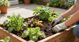 13 Best Raised Garden Beds for Productive Growing in 2026