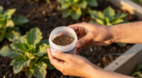 13 Best Slug Control Products for Protecting Gardens in 2026