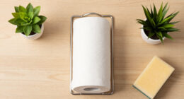 14 Best Paper Towel Holders for Easy One-Handed Tearing in 2026