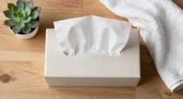 15 Best Tissue Box Covers for Polished Everyday Spaces in 2026