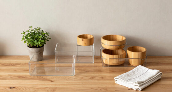 5 Best Kitchen Storage Organizers in 2026