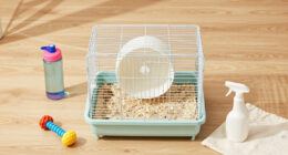 10 Best Classroom Pets in 2026