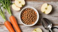 11 Best Salmonella-Free Dog Food in 2026 — Safe Choices for Your Pet