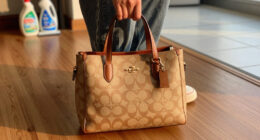 15 Best Coach Handbags in 2026