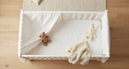 15 Best Kids Bed Canopies in 2026
