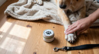 15 Best Paw Balms for Dogs in 2026