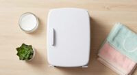 15 Best Skincare Mini Fridges in 2026
