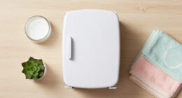 15 Best Skincare Mini Fridges in 2026