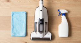 15 Best Steam Cleaners in 2026
