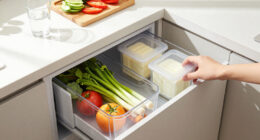 11 Best Fridge Organizers in 2026