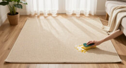 15 Best Washable Rugs in 2026