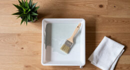 9 Best Paint Trays in 2026