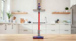 Dyson Batteries & Filters: Compatibility & Buying Guide