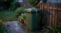 6 Ways To Keep Raccoons Out Of Your Yard (And Trash Bins!) For Good