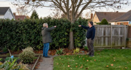 Who Really Owns The Tree Or Hedge Between Your House And Your Neighbour's?